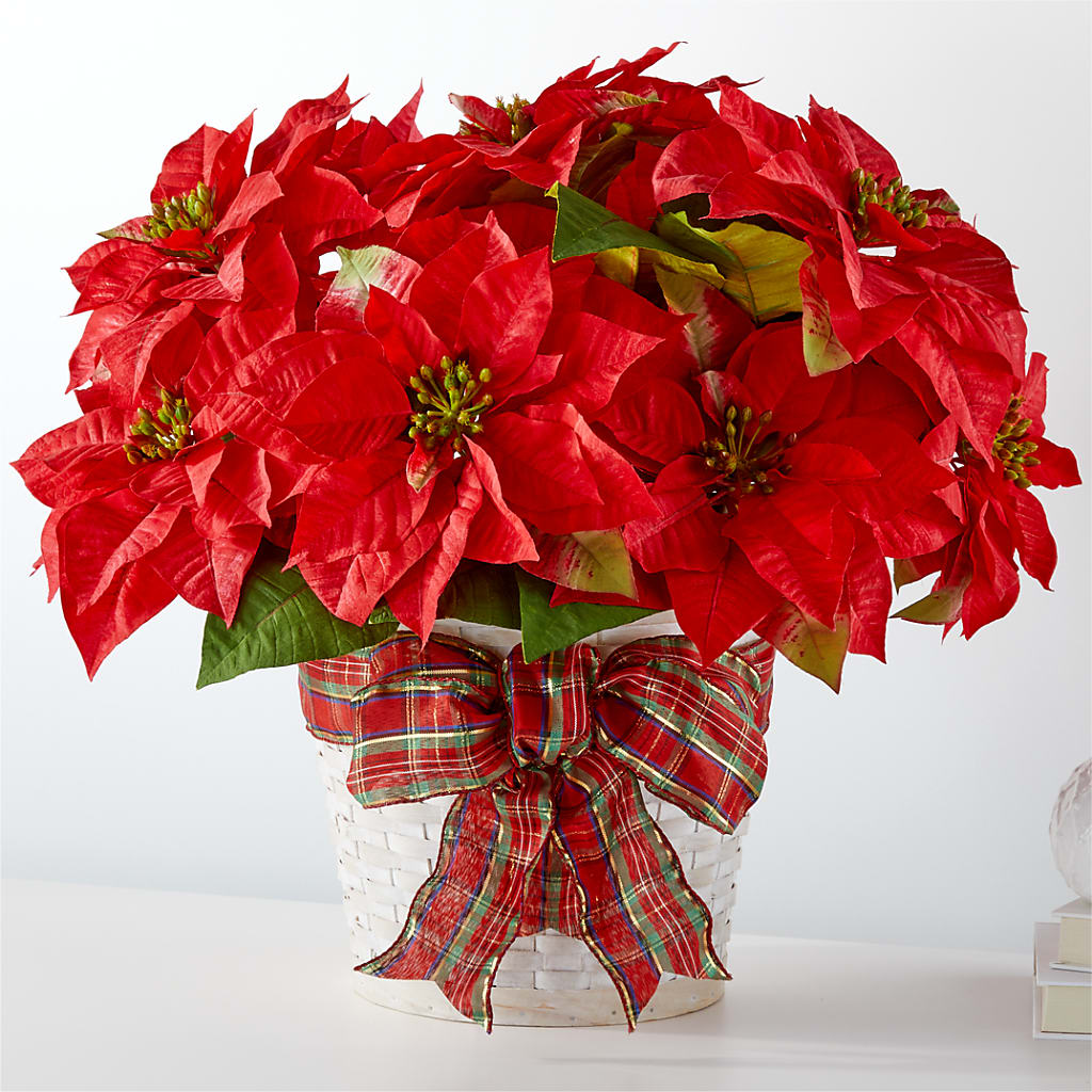 Happiest Holidays Poinsettia – Salon Diane Aubin Fleuriste Inc., Jonquiere PQ
