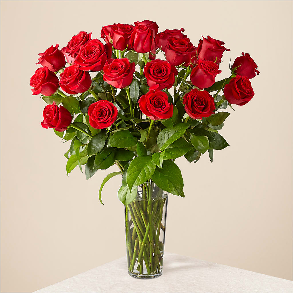 Long Stem Red Rose Bouquet – Salon Diane Aubin Fleuriste Inc., Jonquiere PQ