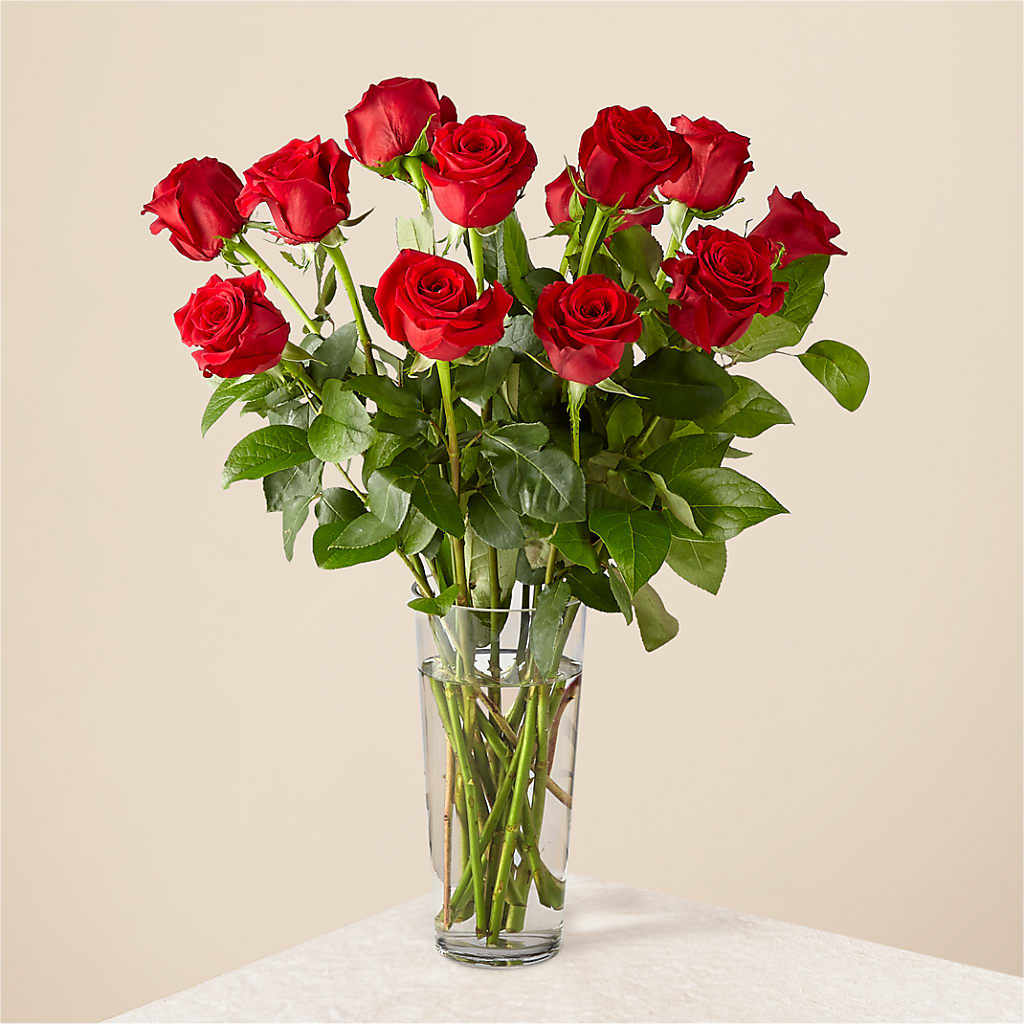 Long Stem Red Rose Bouquet – Salon Diane Aubin Fleuriste Inc., Jonquiere PQ