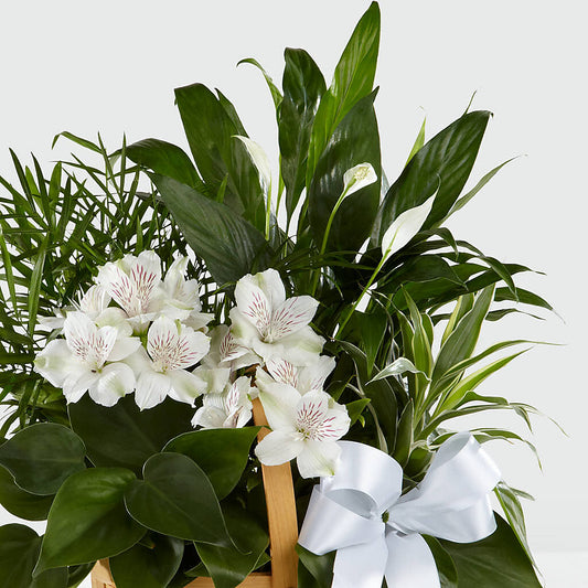 Peace & Serenity Dishgarden – Salon Diane Aubin Fleuriste Inc., Jonquiere PQ