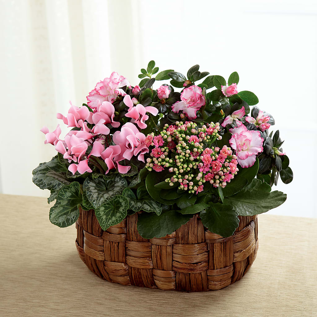 Pink Assortment – Salon Diane Aubin Fleuriste Inc., Jonquiere PQ