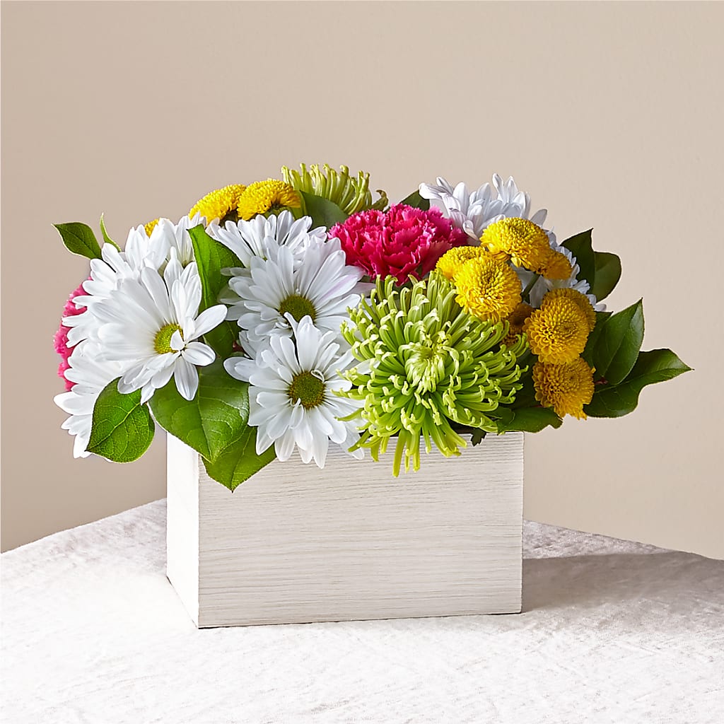 Sorbet Bouquet – Salon Diane Aubin Fleuriste Inc., Jonquiere PQ