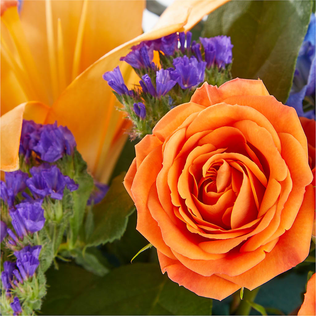 Radiant Citrus Box Bouquet – Salon Diane Aubin Fleuriste Inc., Jonquiere PQ