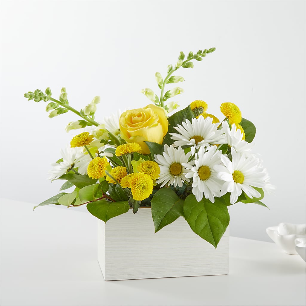 Sun Salutation Box Bouquet – Salon Diane Aubin Fleuriste Inc., Jonquiere PQ