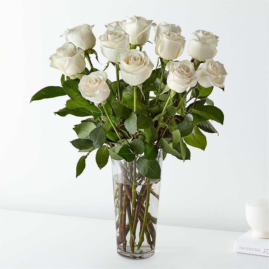 Long Stem White Rose Bouquet – Salon Diane Aubin Fleuriste Inc., Jonquiere PQ