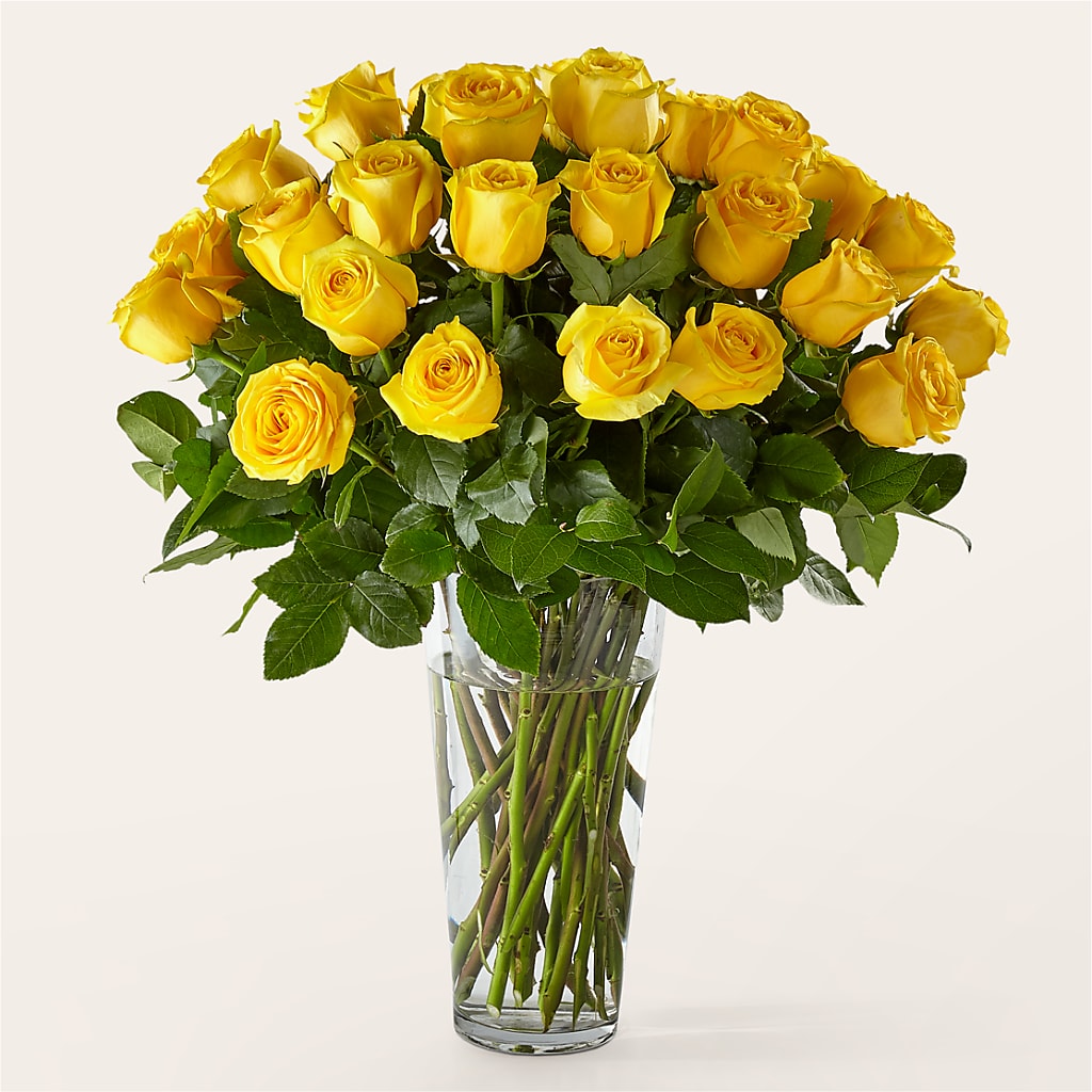 Long Stem Yellow Rose Bouquet – Salon Diane Aubin Fleuriste Inc., Jonquiere PQ