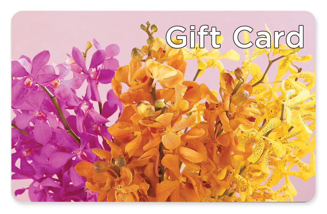 Gift Card – Salon Diane Aubin Fleuriste Inc., Jonquiere PQ