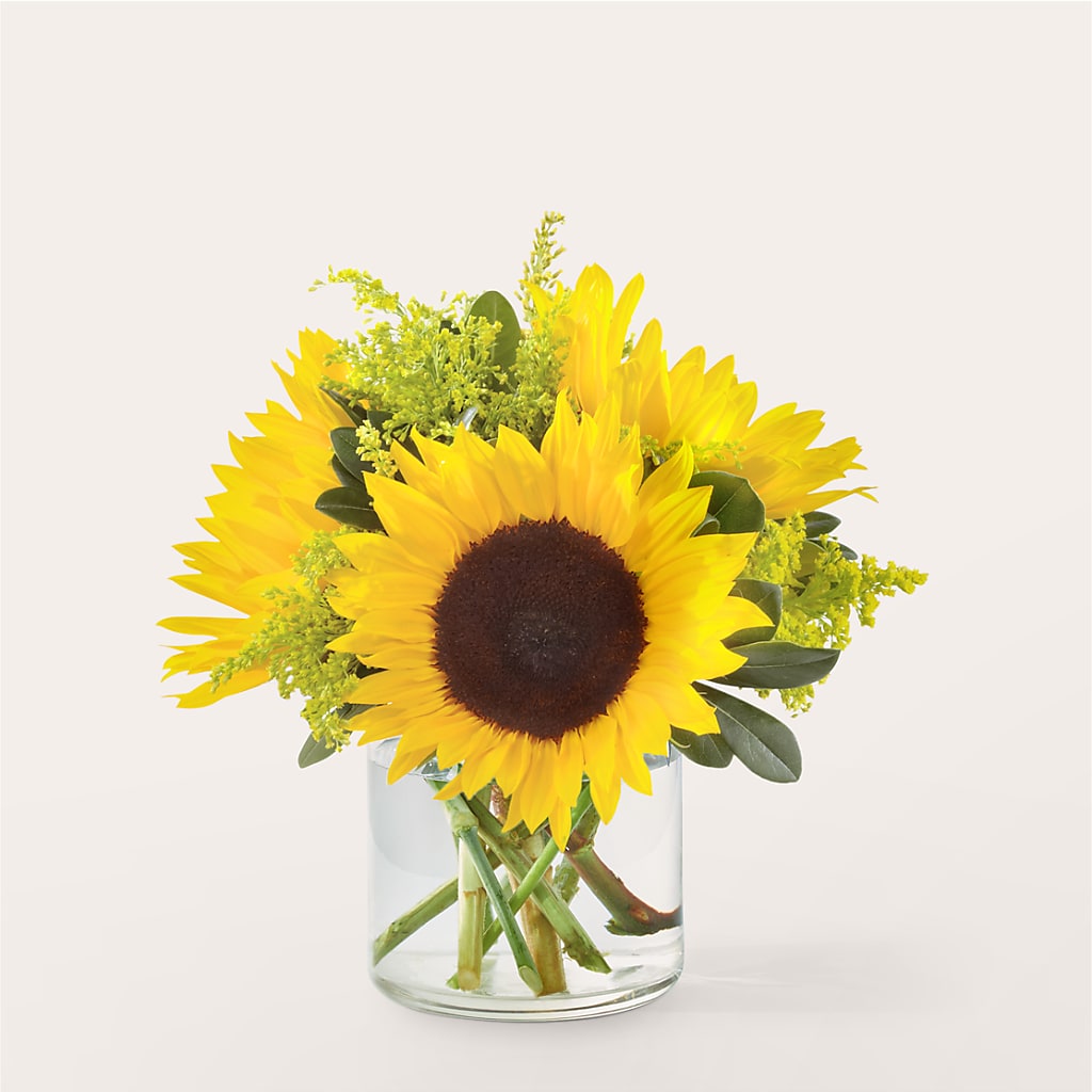 Beaming Sunflower Bouquet – Salon Diane Aubin Fleuriste Inc., Jonquiere PQ