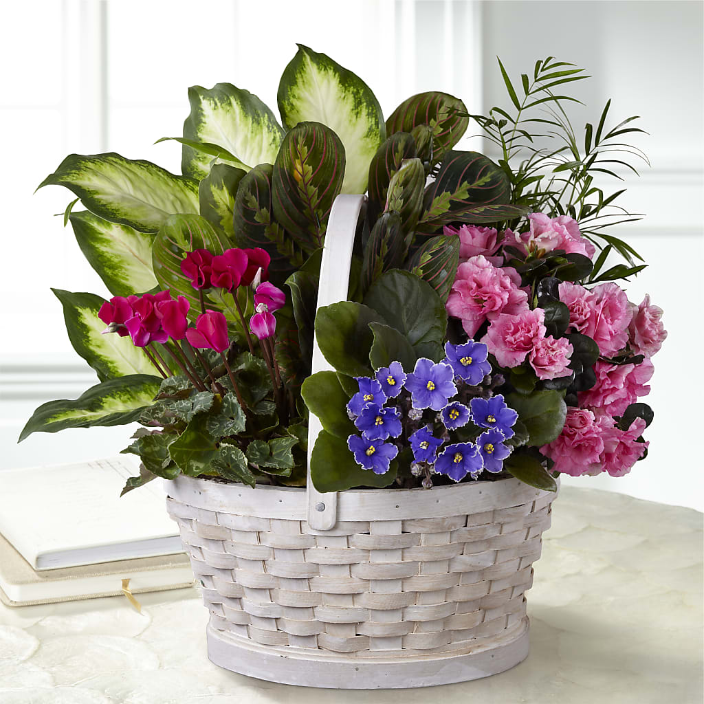 Peaceful Garden Planter – Salon Diane Aubin Fleuriste Inc., Jonquiere PQ