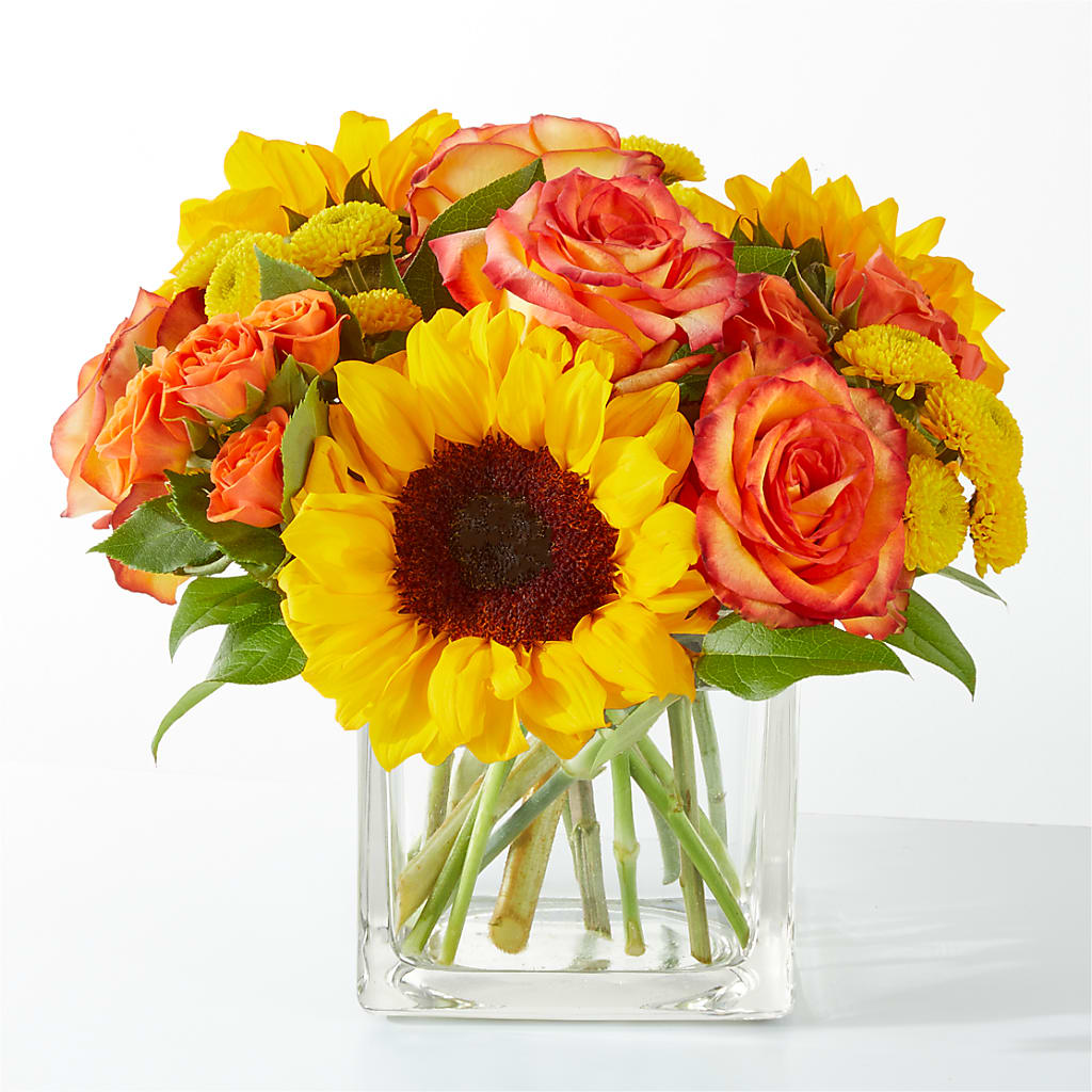 Picnic in the Park Bouquet – Salon Diane Aubin Fleuriste Inc., Jonquiere PQ