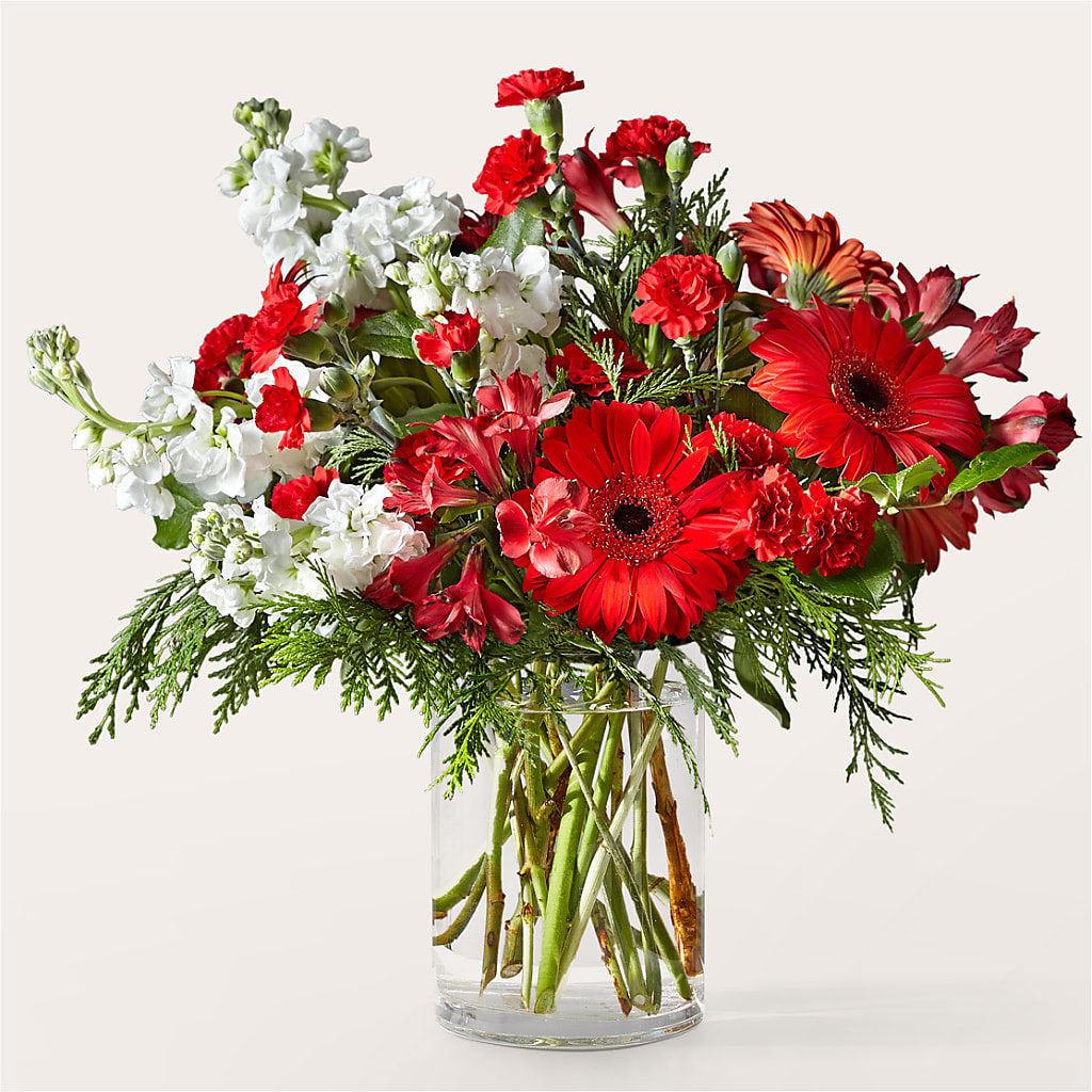 Holidaisy Bouquet – Salon Diane Aubin Fleuriste Inc., Jonquiere PQ