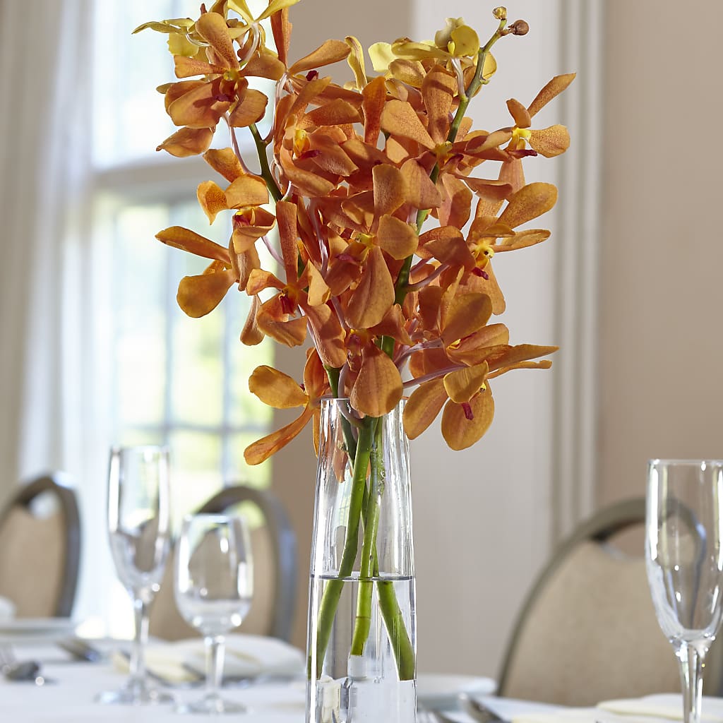 Orange Mokara Bud Vase – Salon Diane Aubin Fleuriste Inc., Jonquiere PQ