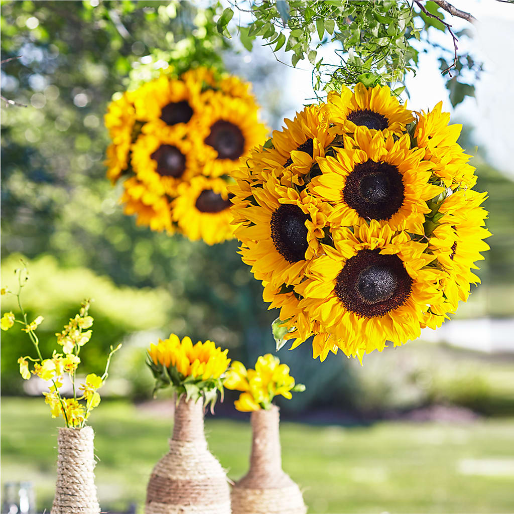 Sublime Garden Hanging Arrangement – Salon Diane Aubin Fleuriste Inc., Jonquiere PQ