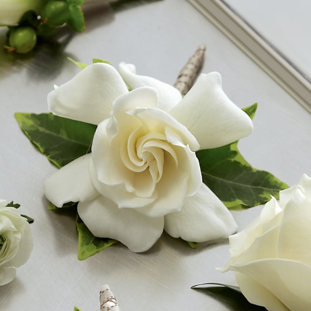 Gardenia Boutonniere – Salon Diane Aubin Fleuriste Inc., Jonquiere PQ