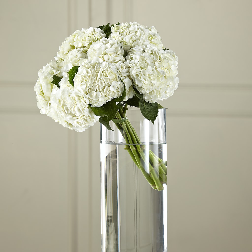 White Hydrangea Hand-Tied Bouquet – Salon Diane Aubin Fleuriste Inc., Jonquiere PQ