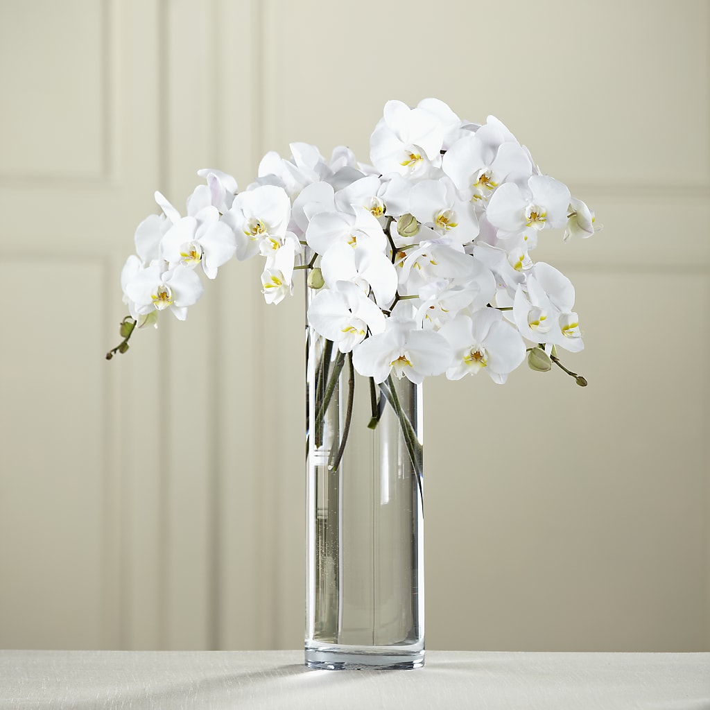 White Phalaenopsis Bouquet – Salon Diane Aubin Fleuriste Inc., Jonquiere PQ