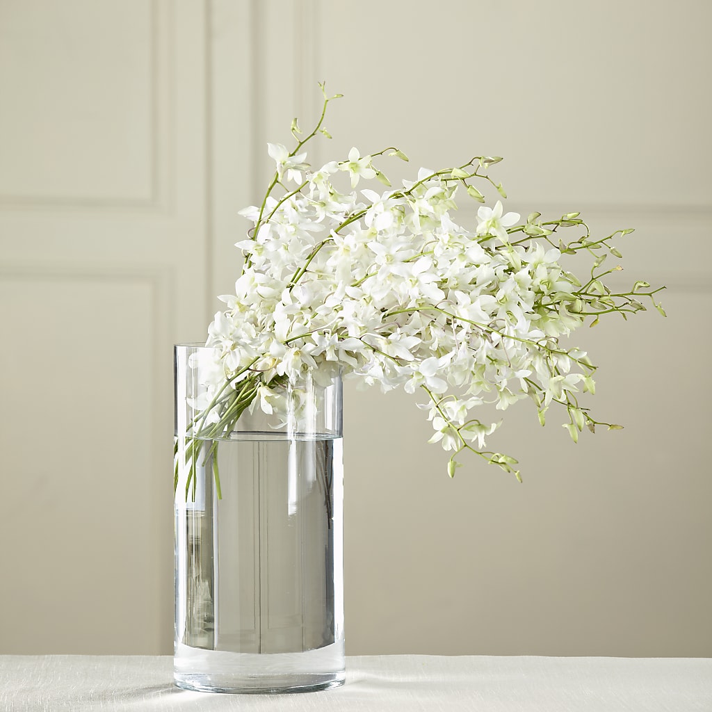 White Dendrobium Bouquet – Salon Diane Aubin Fleuriste Inc., Jonquiere PQ
