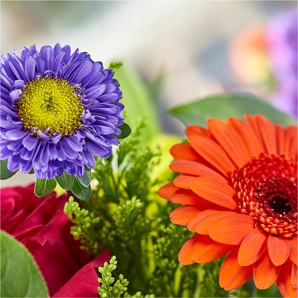 Bold & Bright – A Florist Original –  Salon Diane Aubin Fleuriste Inc., Jonquiere PQ