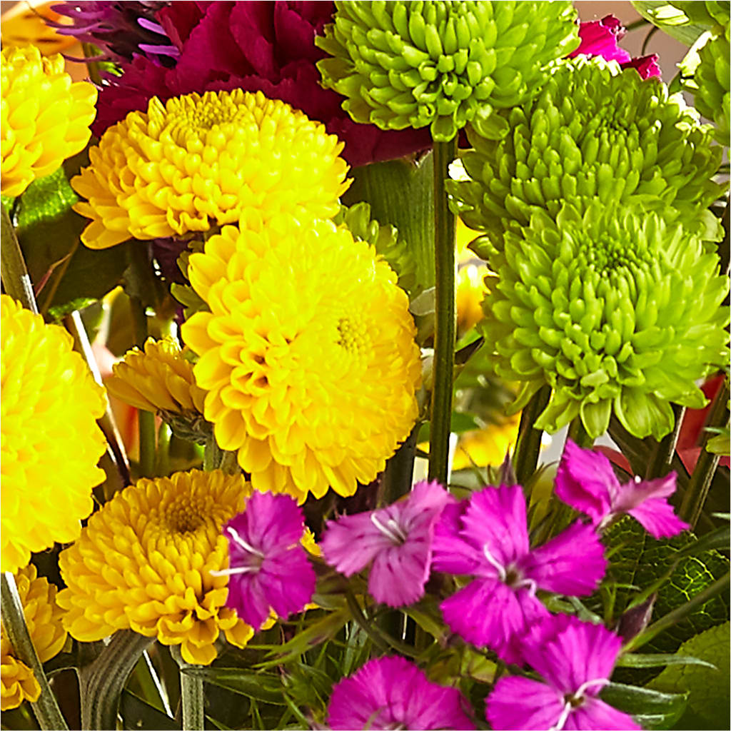 Bold & Bright – A Florist Original –  Salon Diane Aubin Fleuriste Inc., Jonquiere PQ