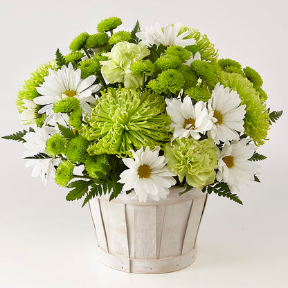 Lucky Charm Basket (Standard) –  Salon Diane Aubin Fleuriste Inc., Jonquiere PQ