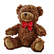 Adorable Plush Bear –  Salon Diane Aubin Fleuriste Inc., Jonquiere PQ