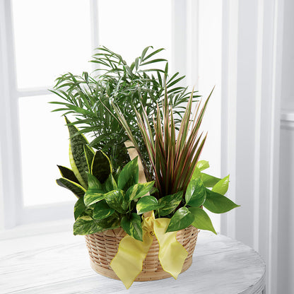 French Garden –  Salon Diane Aubin Fleuriste Inc., Jonquiere PQ