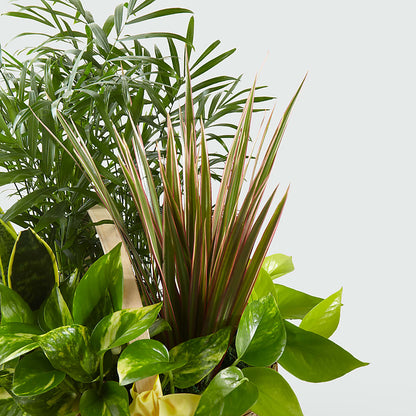 French Garden –  Salon Diane Aubin Fleuriste Inc., Jonquiere PQ