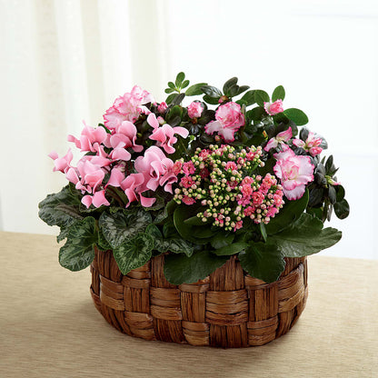 Pink Assortment –  Salon Diane Aubin Fleuriste Inc., Jonquiere PQ