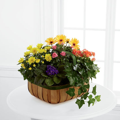 Gentle Blossoms Basket –  Salon Diane Aubin Fleuriste Inc., Jonquiere PQ
