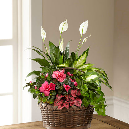 Dream in Pink Dishgarden –  Salon Diane Aubin Fleuriste Inc., Jonquiere PQ