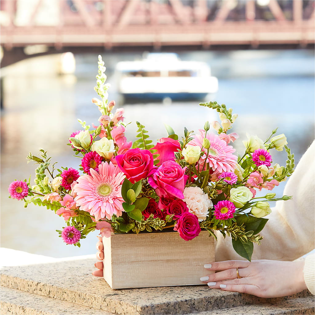 Too Cute Bouquet –  Salon Diane Aubin Fleuriste Inc., Jonquiere PQ