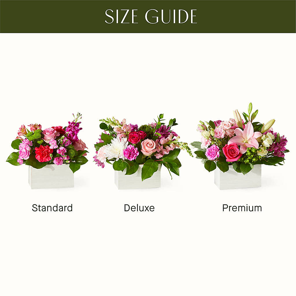 Sweetberry Box – A Florist Original –  Salon Diane Aubin Fleuriste Inc., Jonquiere PQ