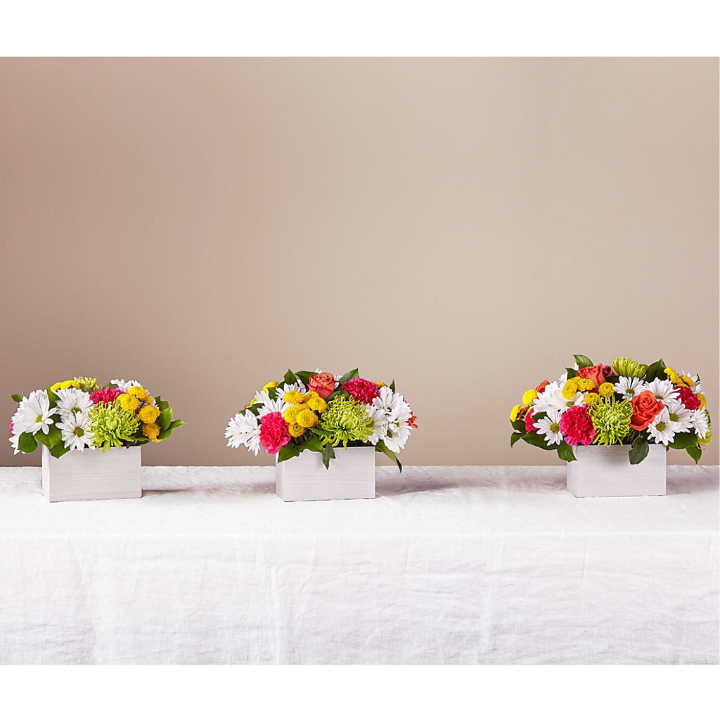 Sorbet Bouquet –  Salon Diane Aubin Fleuriste Inc., Jonquiere PQ