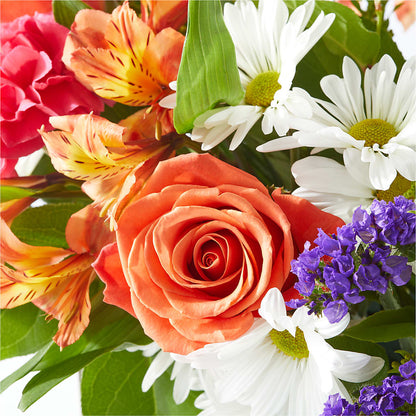 Oopsie Daisy Box Bouquet –  Salon Diane Aubin Fleuriste Inc., Jonquiere PQ