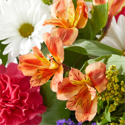 Oopsie Daisy Box Bouquet –  Salon Diane Aubin Fleuriste Inc., Jonquiere PQ