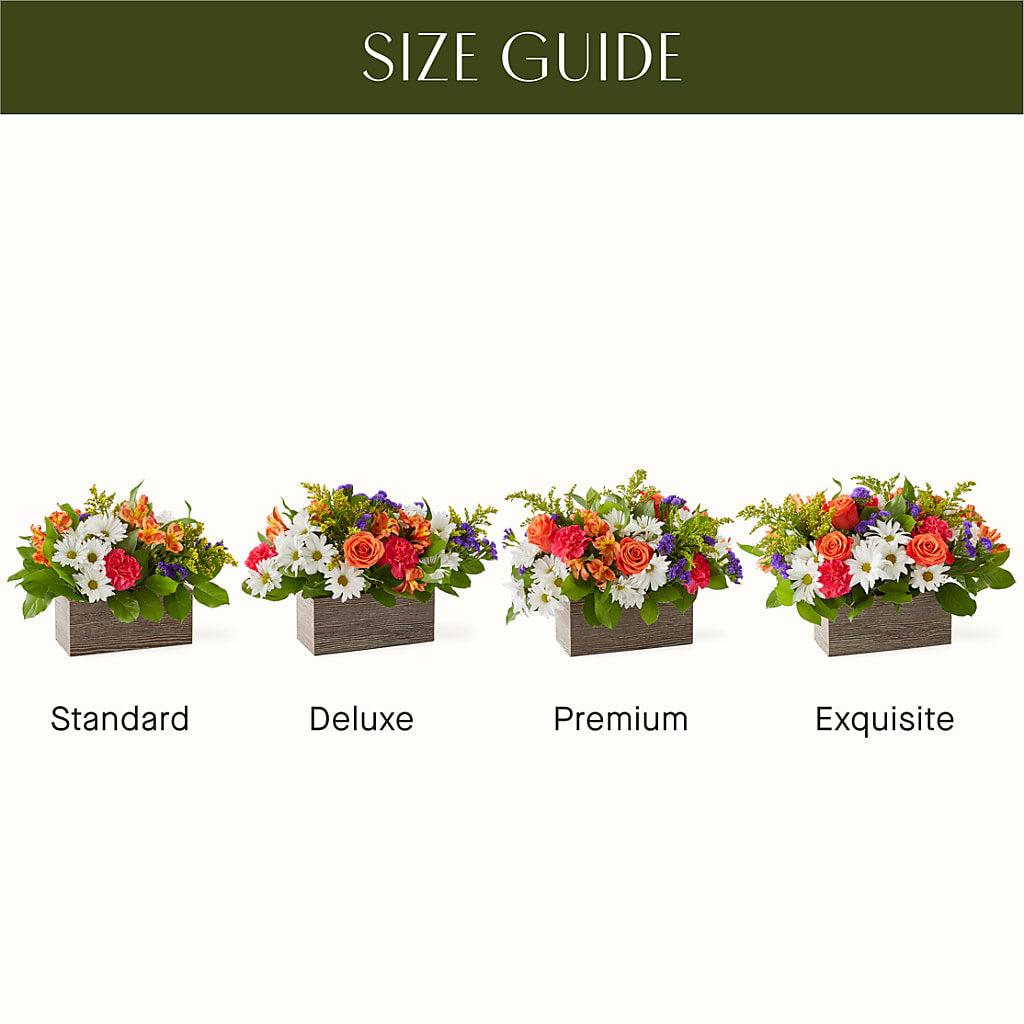 Oopsie Daisy Box Bouquet –  Salon Diane Aubin Fleuriste Inc., Jonquiere PQ