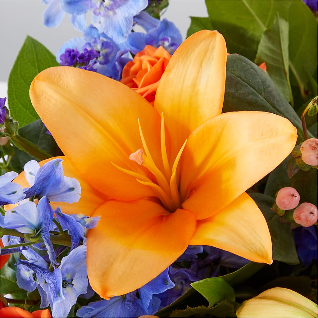 Radiant Citrus Box Bouquet –  Salon Diane Aubin Fleuriste Inc., Jonquiere PQ