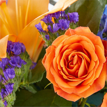 Radiant Citrus Box Bouquet –  Salon Diane Aubin Fleuriste Inc., Jonquiere PQ