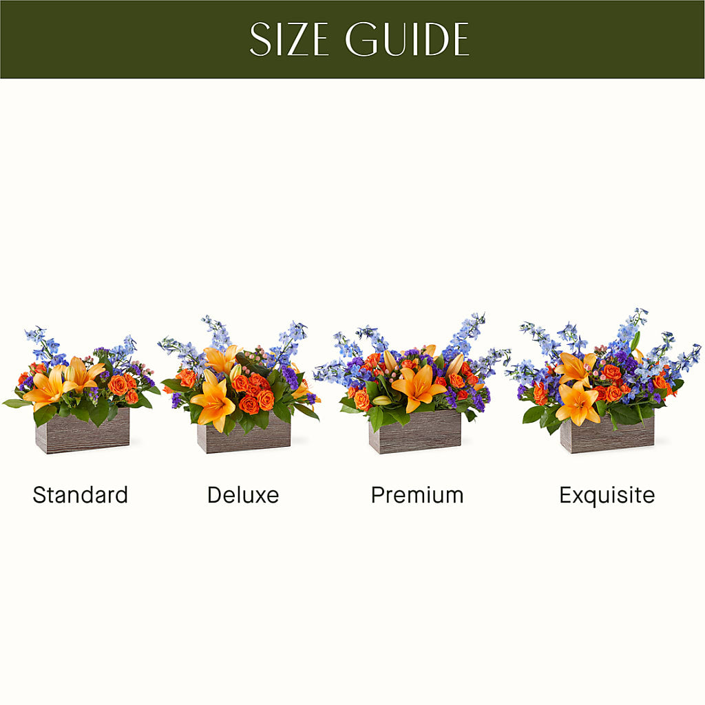 Radiant Citrus Box Bouquet –  Salon Diane Aubin Fleuriste Inc., Jonquiere PQ