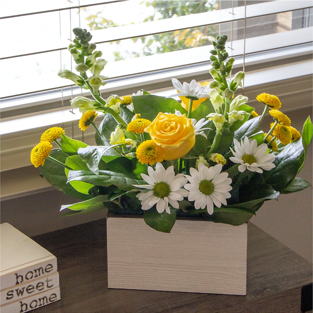 Sun Salutation Box Bouquet –  Salon Diane Aubin Fleuriste Inc., Jonquiere PQ