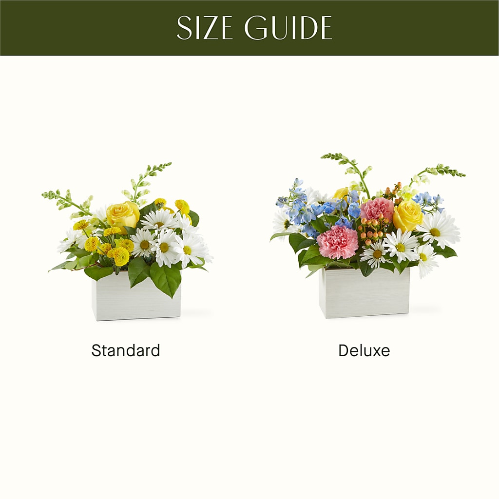Sun Salutation Box Bouquet –  Salon Diane Aubin Fleuriste Inc., Jonquiere PQ