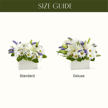 Beyond Blue Box Bouquet –  Salon Diane Aubin Fleuriste Inc., Jonquiere PQ