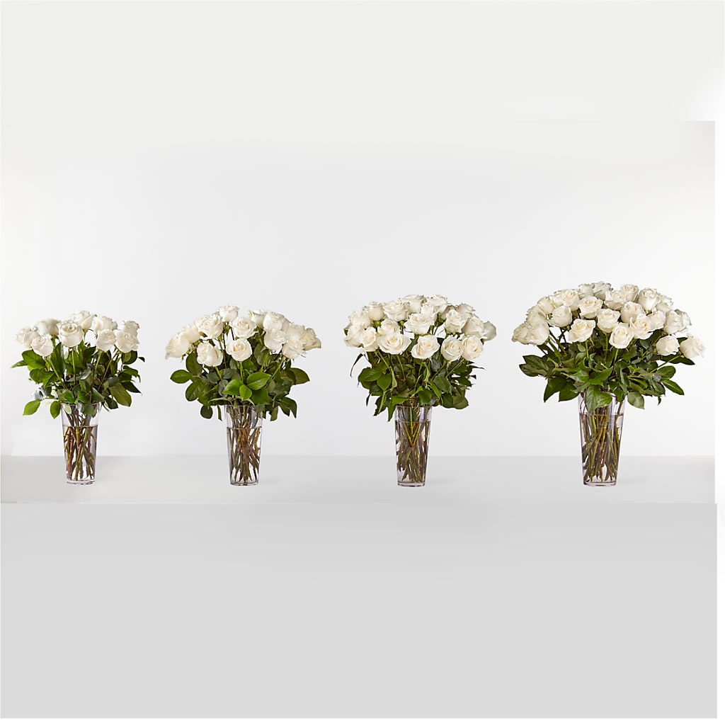 Long Stem White Rose Bouquet –  Salon Diane Aubin Fleuriste Inc., Jonquiere PQ