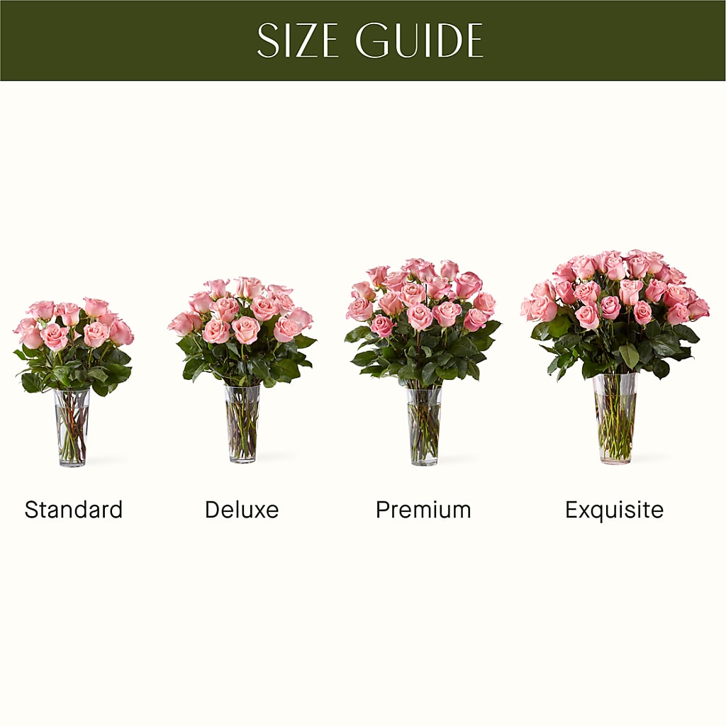 Long Stem Pink Rose Bouquet –  Salon Diane Aubin Fleuriste Inc., Jonquiere PQ