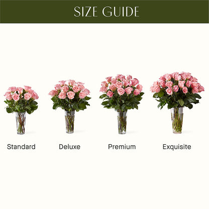 Long Stem Pink Rose Bouquet –  Salon Diane Aubin Fleuriste Inc., Jonquiere PQ