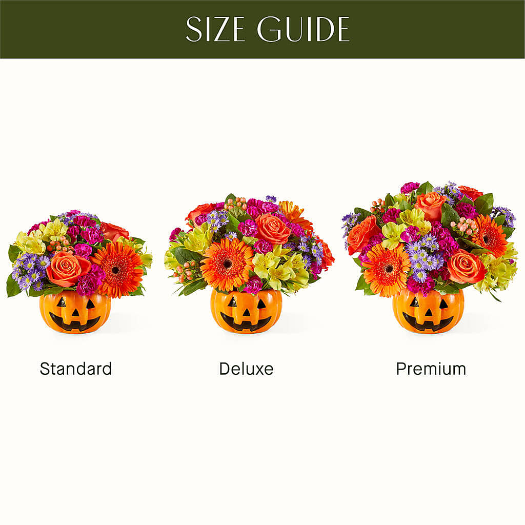 Tricks & Treats Pumpkin –  Salon Diane Aubin Fleuriste Inc., Jonquiere PQ