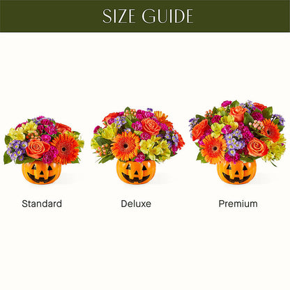 Tricks & Treats Pumpkin –  Salon Diane Aubin Fleuriste Inc., Jonquiere PQ
