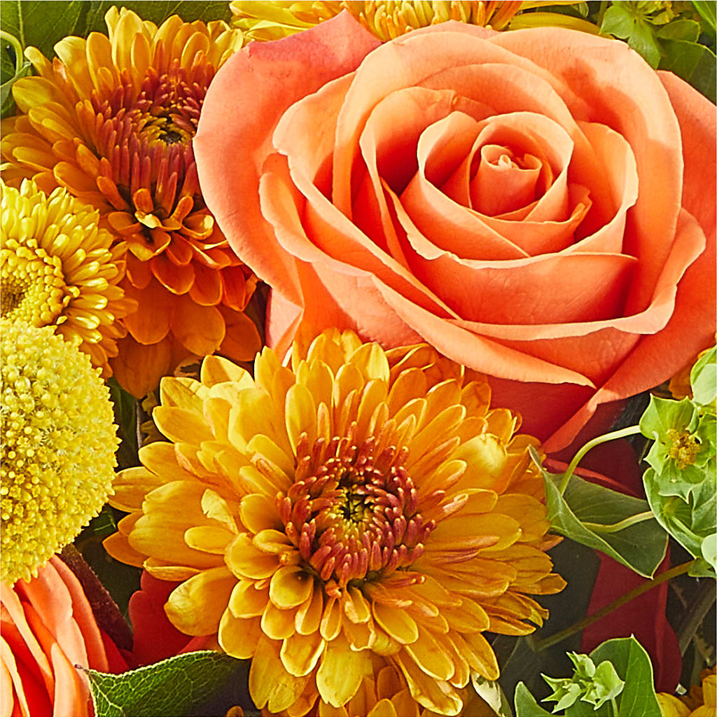 Gourdgeous Pumpkin –  Salon Diane Aubin Fleuriste Inc., Jonquiere PQ