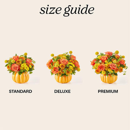 Gourdgeous Pumpkin –  Salon Diane Aubin Fleuriste Inc., Jonquiere PQ