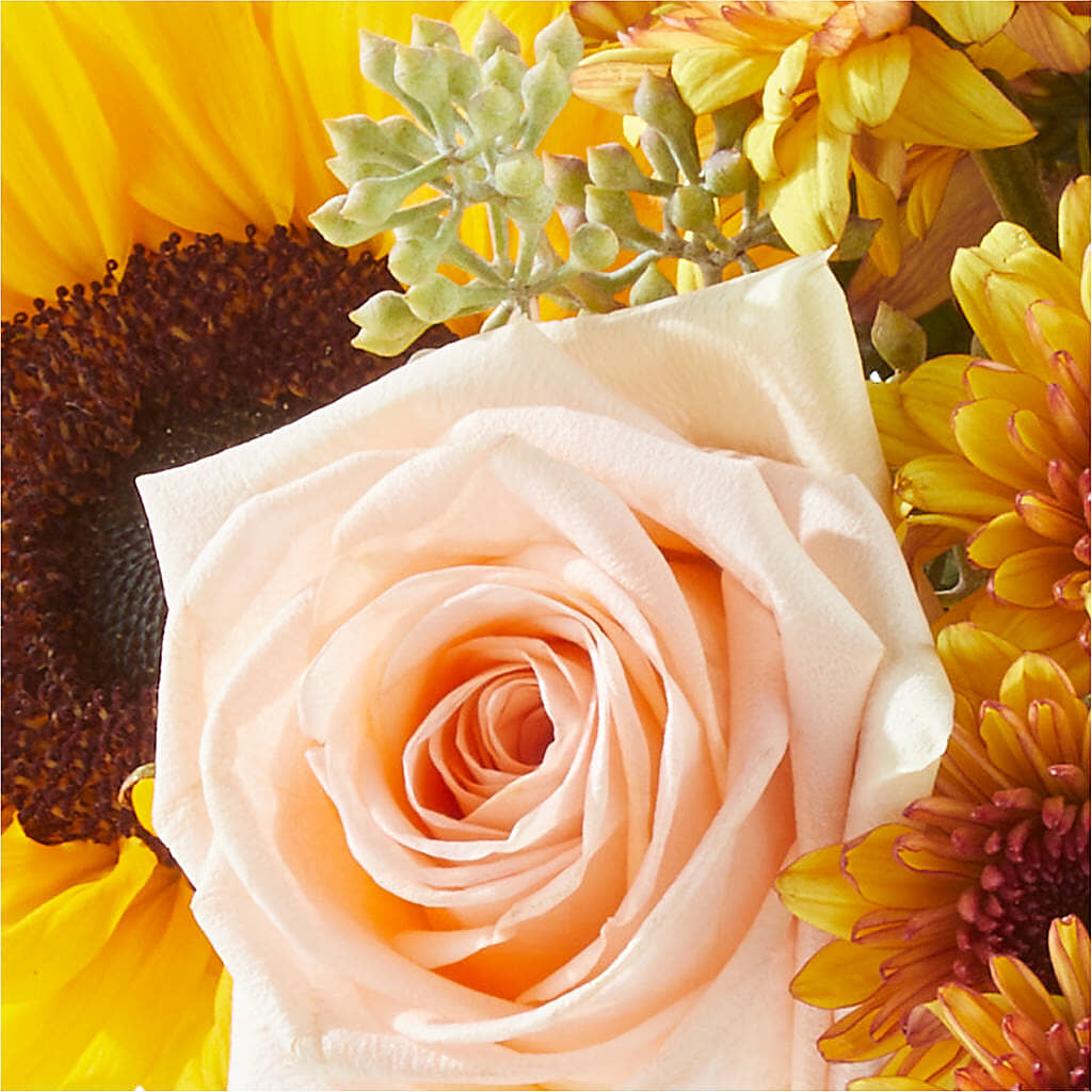 Pumpkin to Talk About Bouquet –  Salon Diane Aubin Fleuriste Inc., Jonquiere PQ